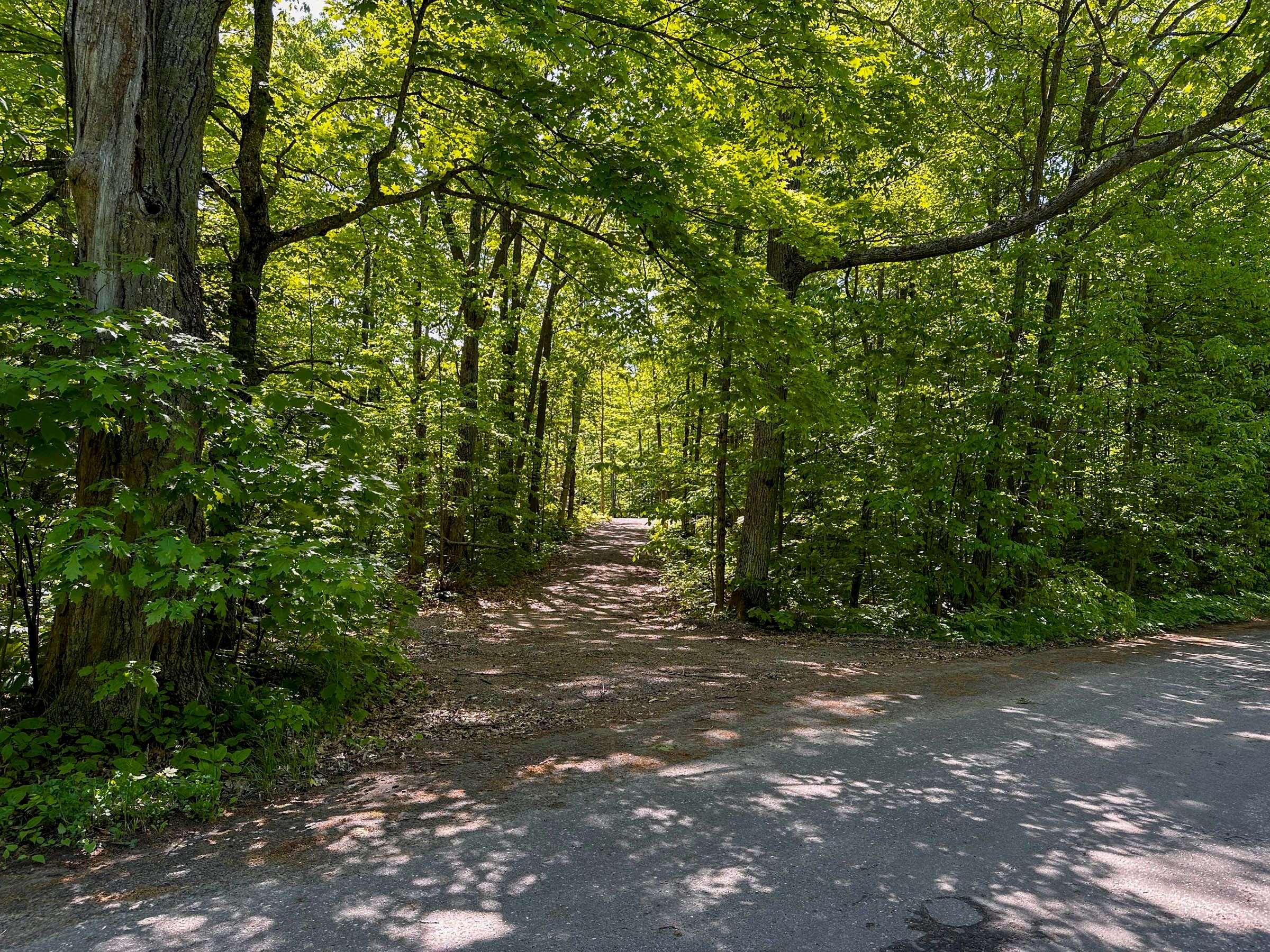 1066 South Muldrew Lake RD, Gravenhurst, ON P0E 1G0