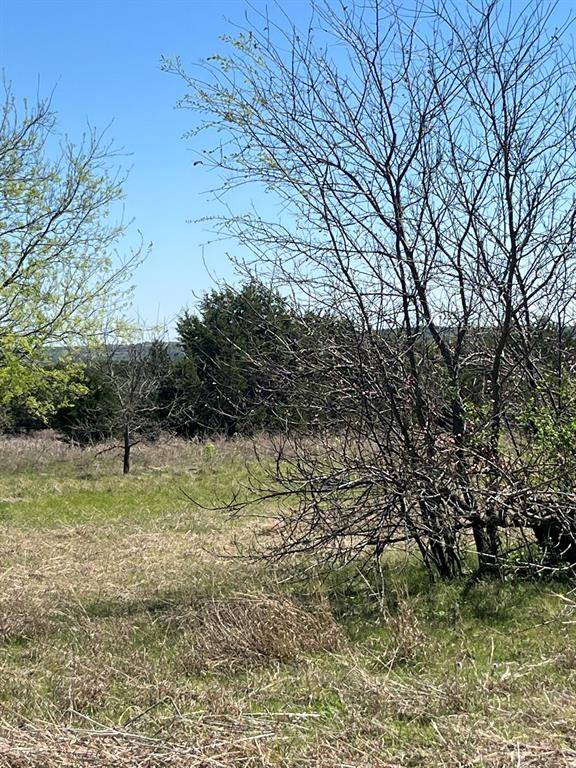 100 E Shangri La Drive, Azle, TX 76020