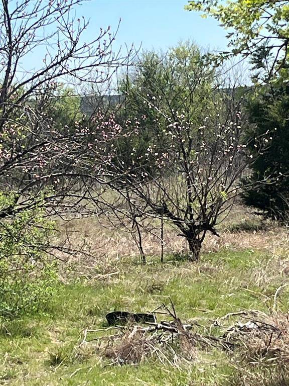 100 E Shangri La Drive, Azle, TX 76020