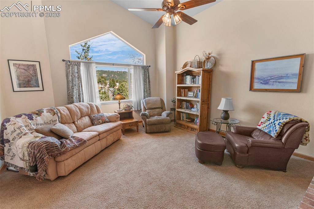 481 Black Bear TRL, Woodland Park, CO 80863
