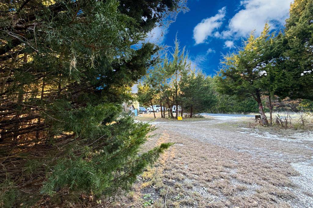 TBD County Road 919 #Lot 23B, Nevada, TX 75173