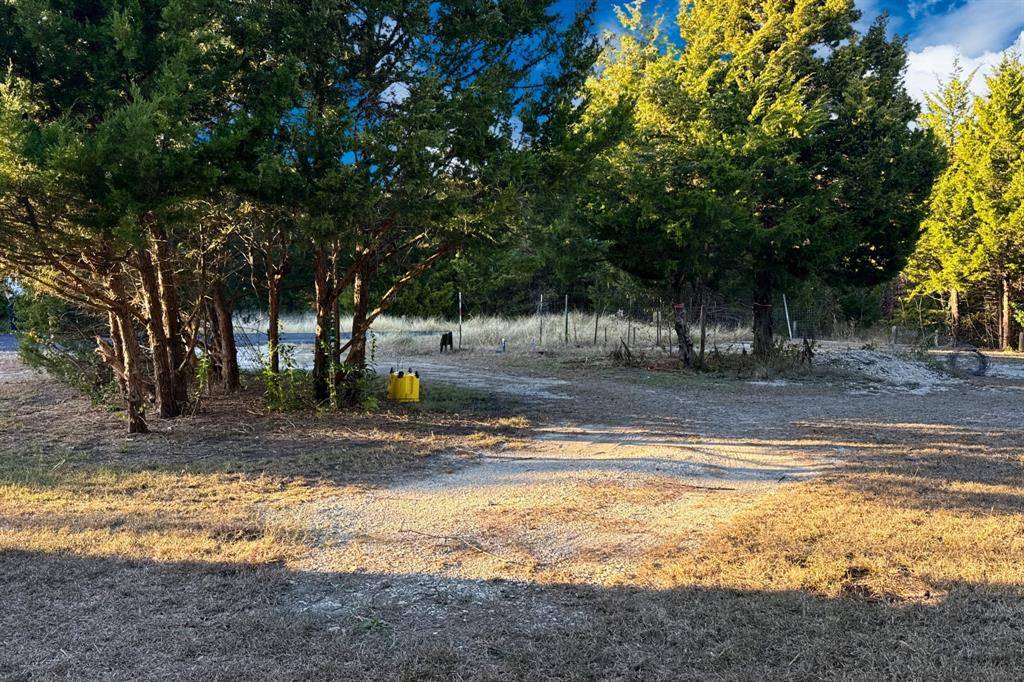 TBD County Road 919 #Lot 23B, Nevada, TX 75173
