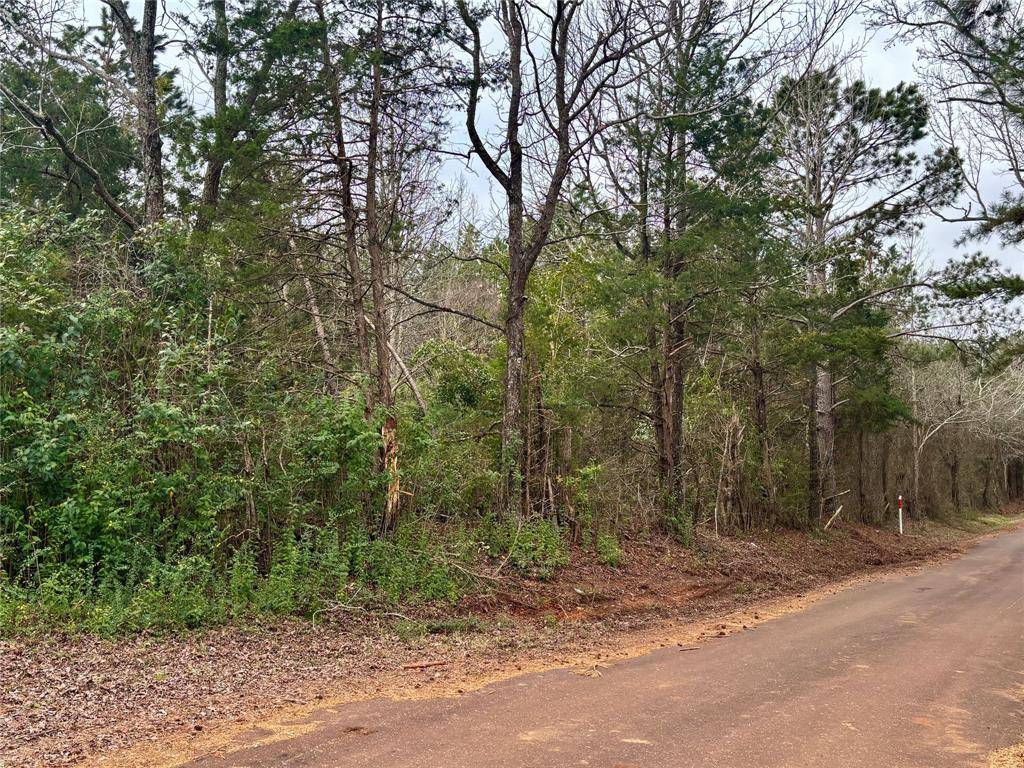 4451 County Road 3206 W, Mount Enterprise, TX 75681