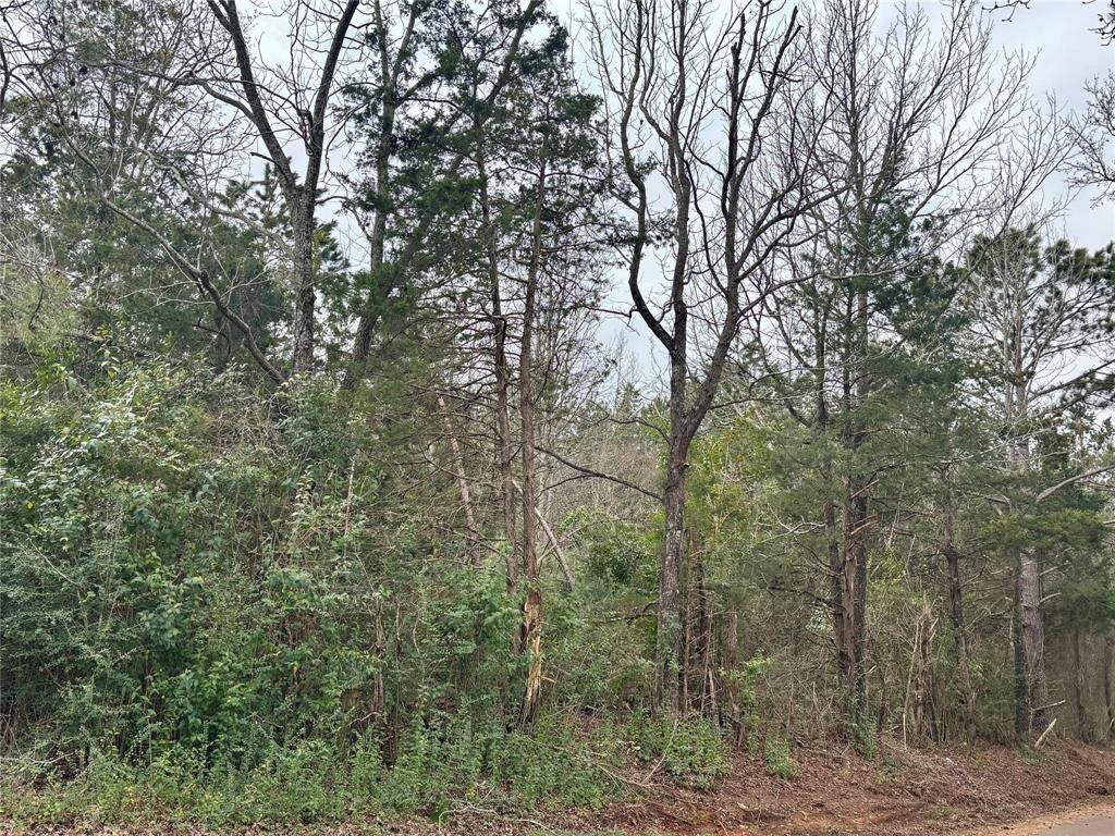 4451 County Road 3206 W, Mount Enterprise, TX 75681
