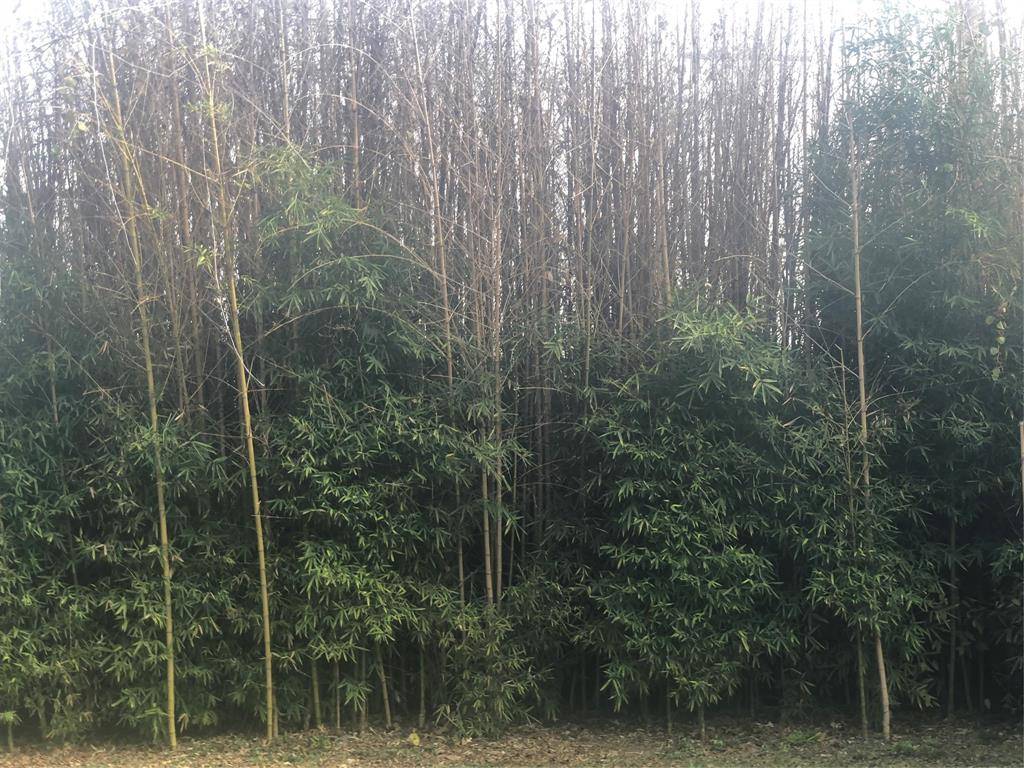 2506 North Bay Street, Horseshoe Bay, TX 78657