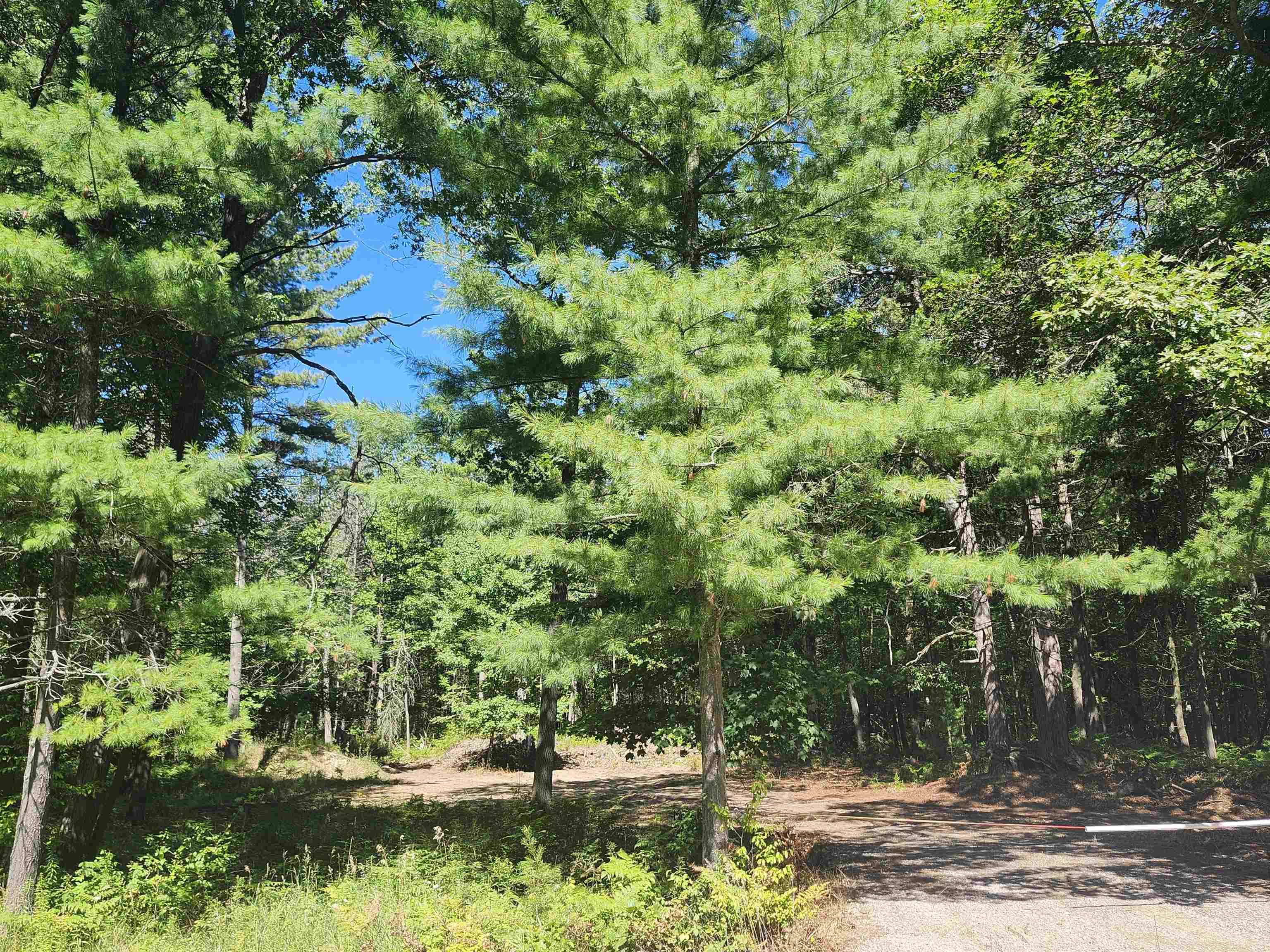 0 E Lincoln ST, Baldwin Twp, MI 48763