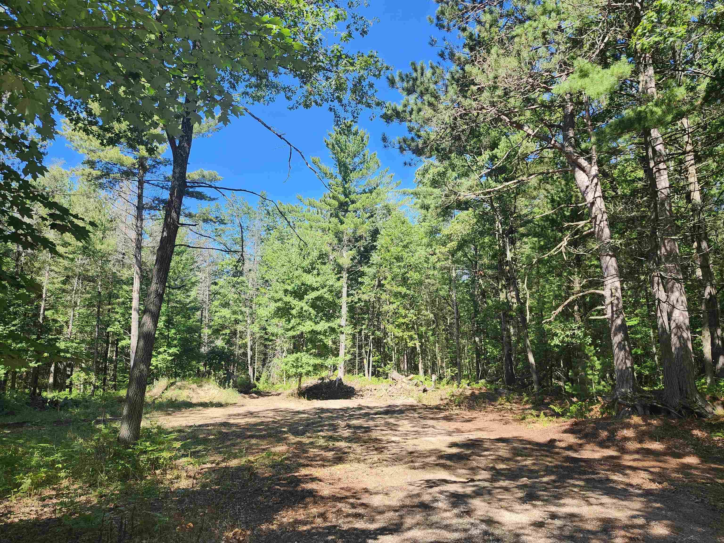 0 E Lincoln ST, Baldwin Twp, MI 48763