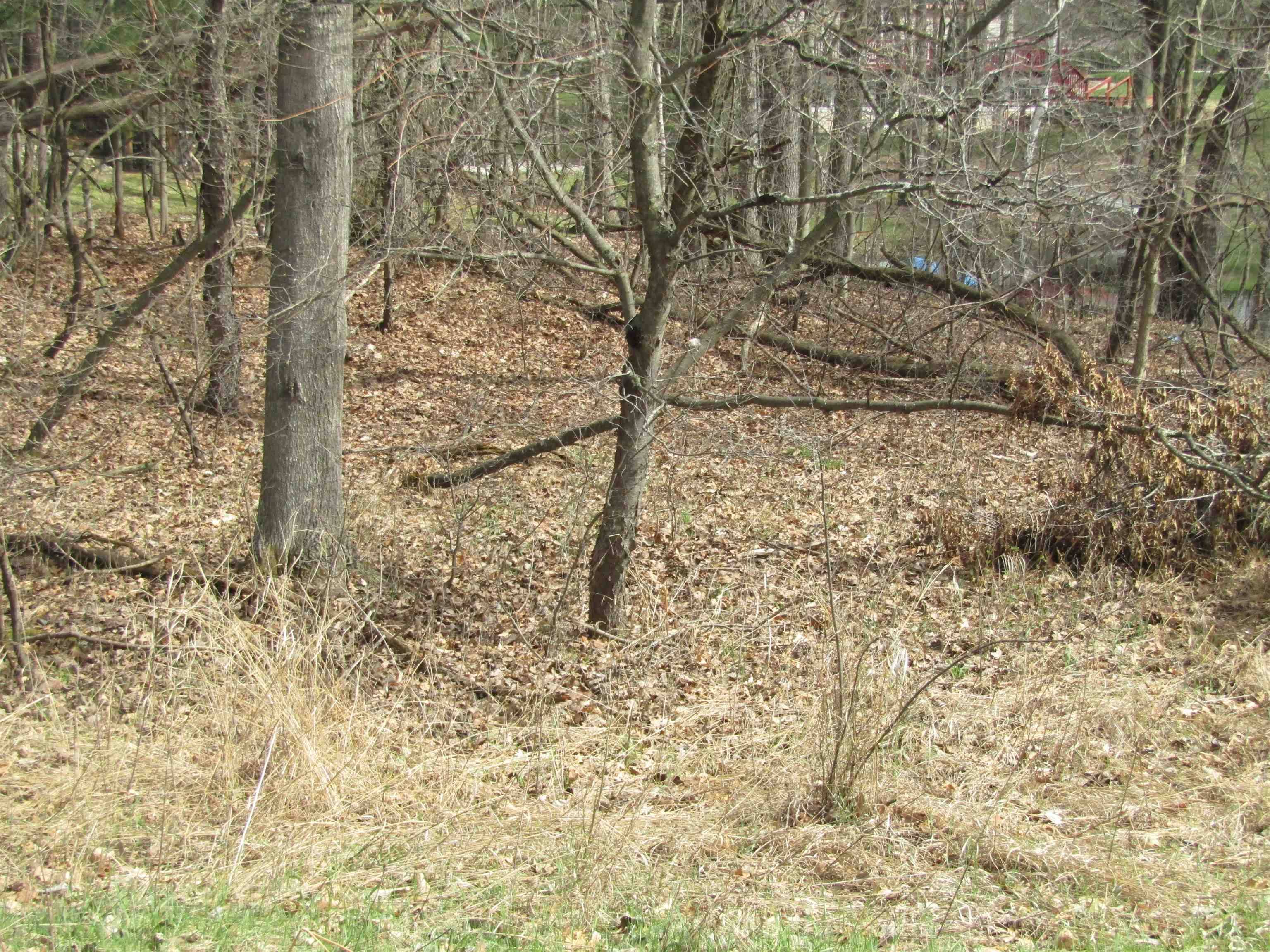 VL_173 E Caribou TRL, Churchill Twp, MI 48661