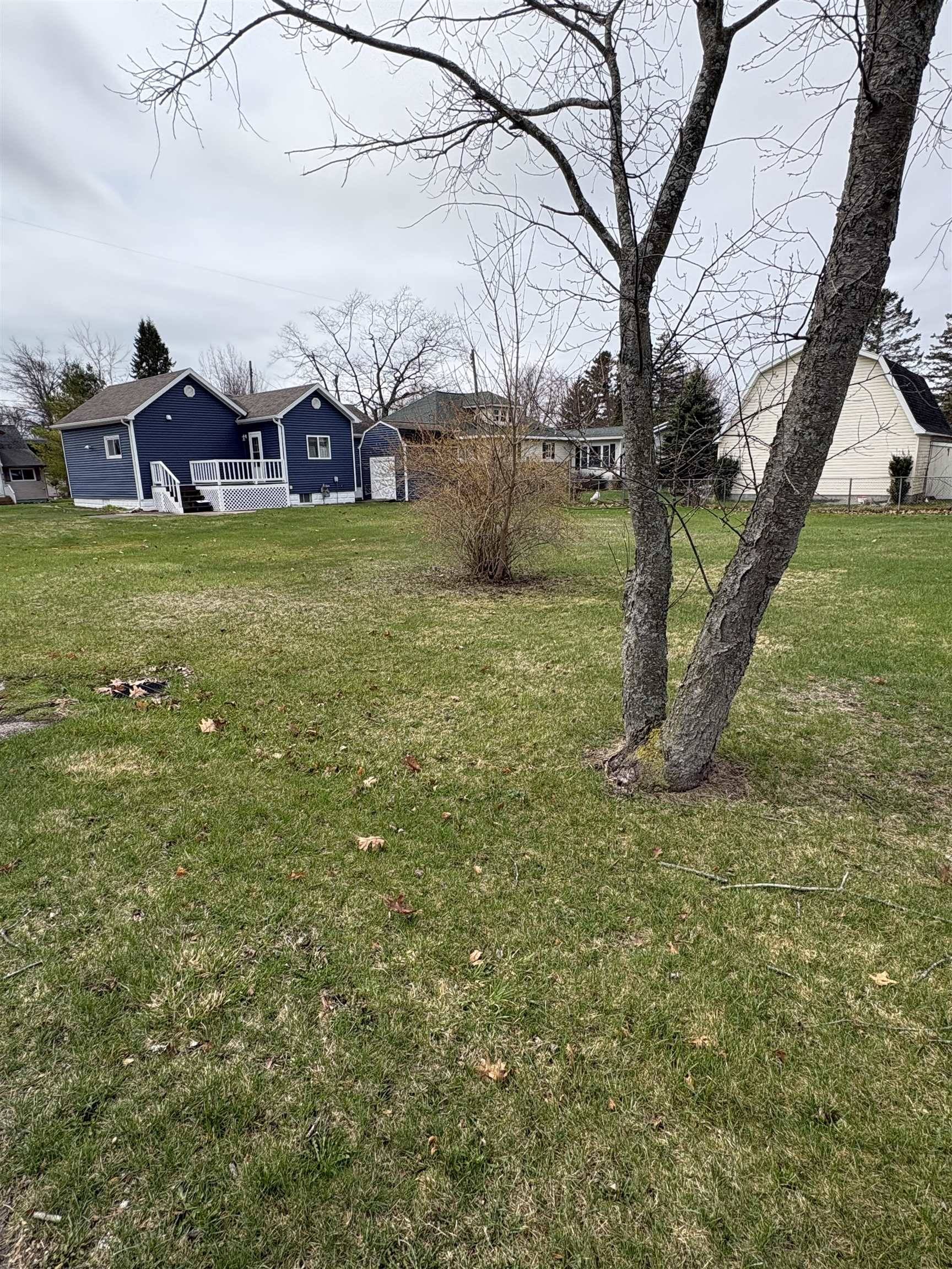 815 E State ST, Baldwintownship_iosco, MI 49830