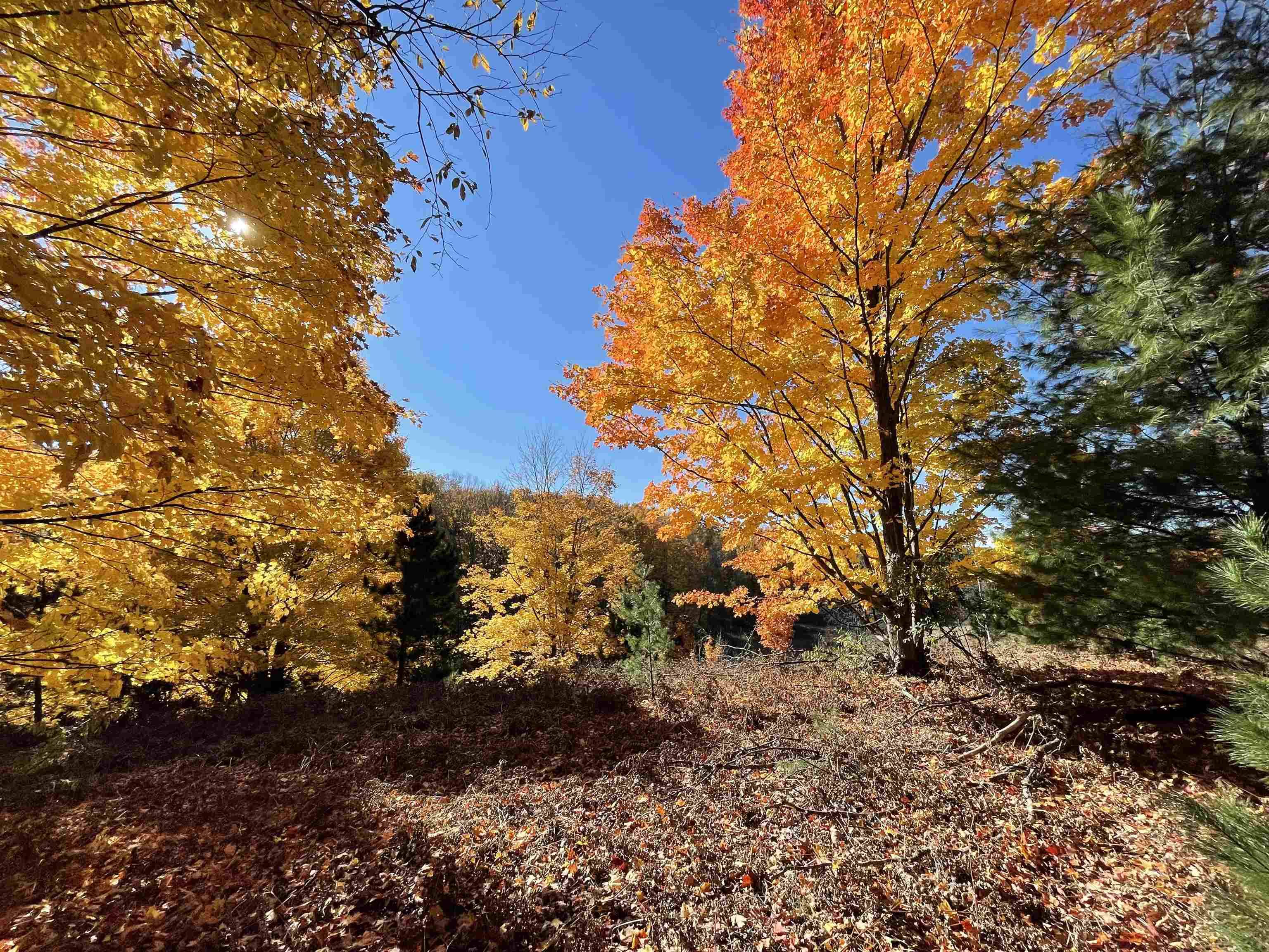 3037 Dockery Road, Nw, Kalkaska Twp, MI 49690