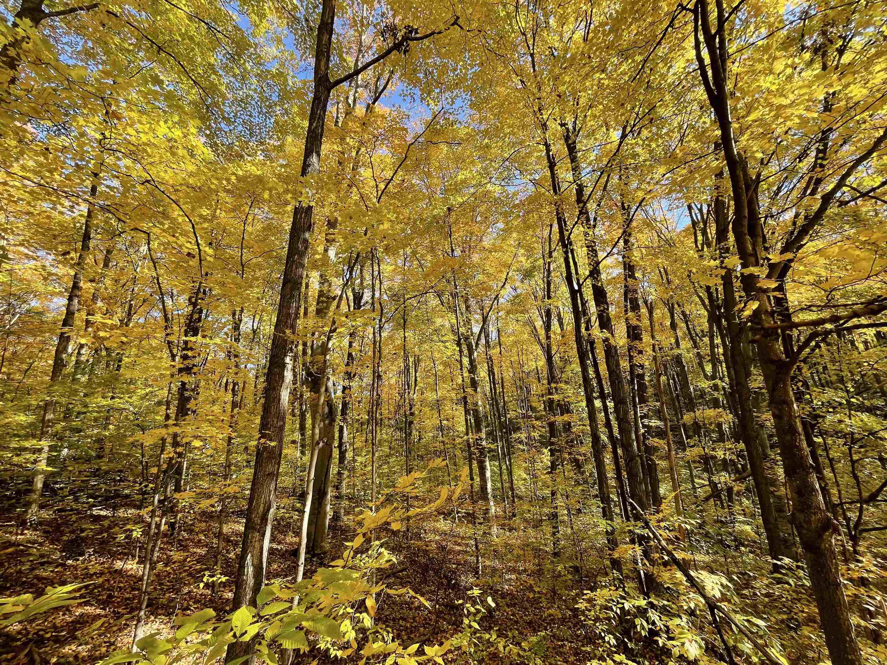 3037 Dockery Road, Nw, Kalkaska Twp, MI 49690