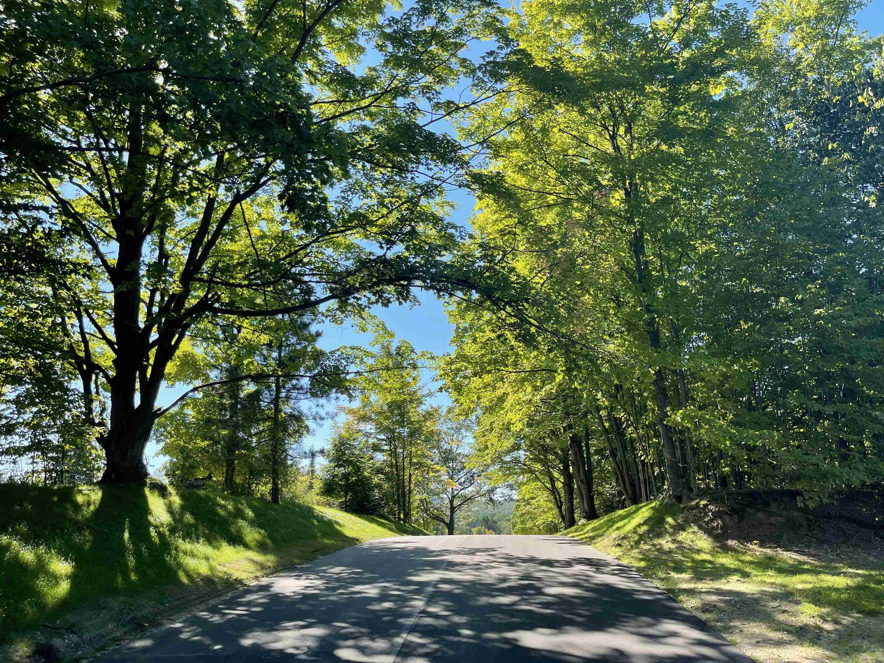 6165 Mountain Sky RD, Paradise Twp, MI 49649