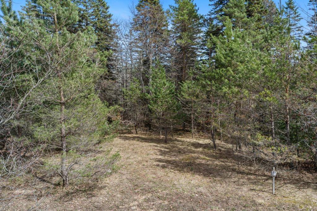 V/L Johnson RD, Mancelona Twp, MI 49659