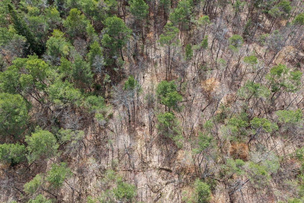 V/L Johnson RD, Mancelona Twp, MI 49659