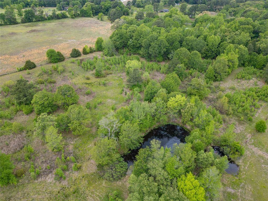 401 County Road 3114, Quitman, TX 75783