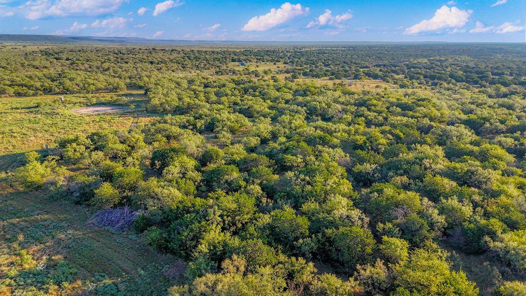 150 Mountain Drive, Graford, TX 76449