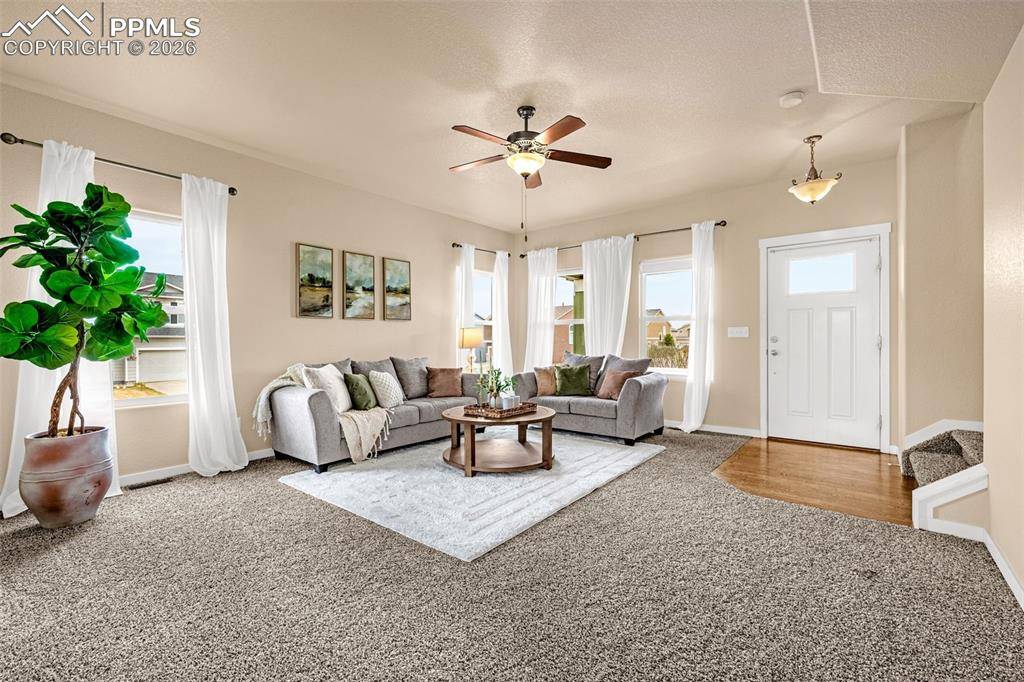 6494 Donahue DR, Colorado Springs, CO 80923