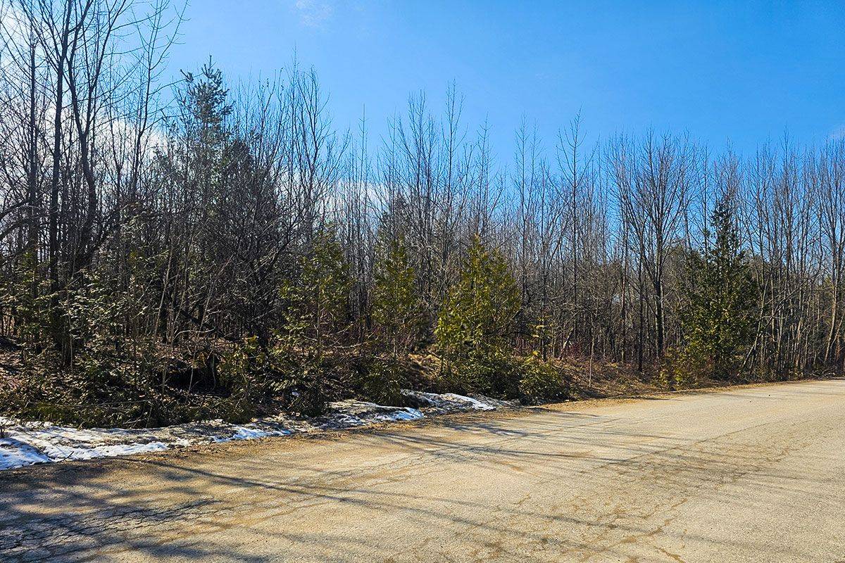 180 Bowles Bluff RD, Grey Highlands, ON N0C 1H0