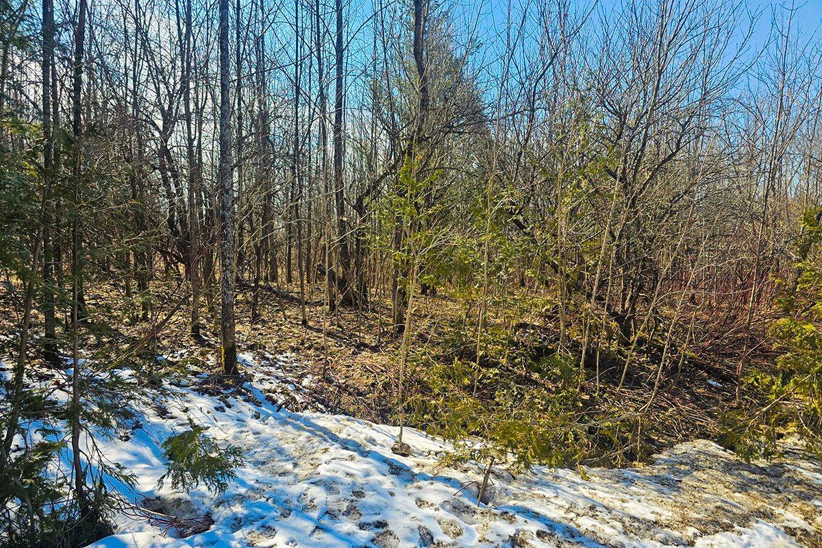 180 Bowles Bluff RD, Grey Highlands, ON N0C 1H0