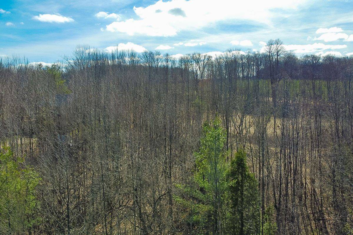 180 Bowles Bluff RD, Grey Highlands, ON N0C 1H0
