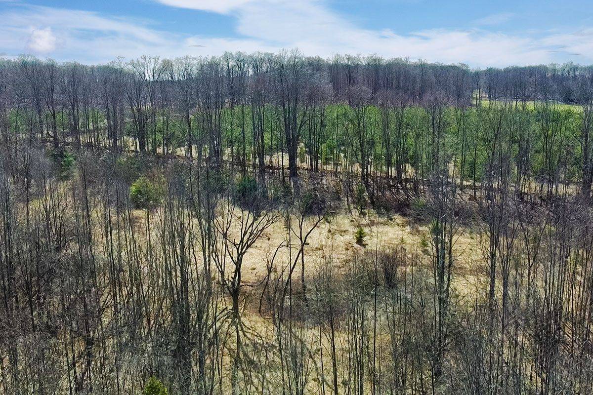 180 Bowles Bluff RD, Grey Highlands, ON N0C 1H0