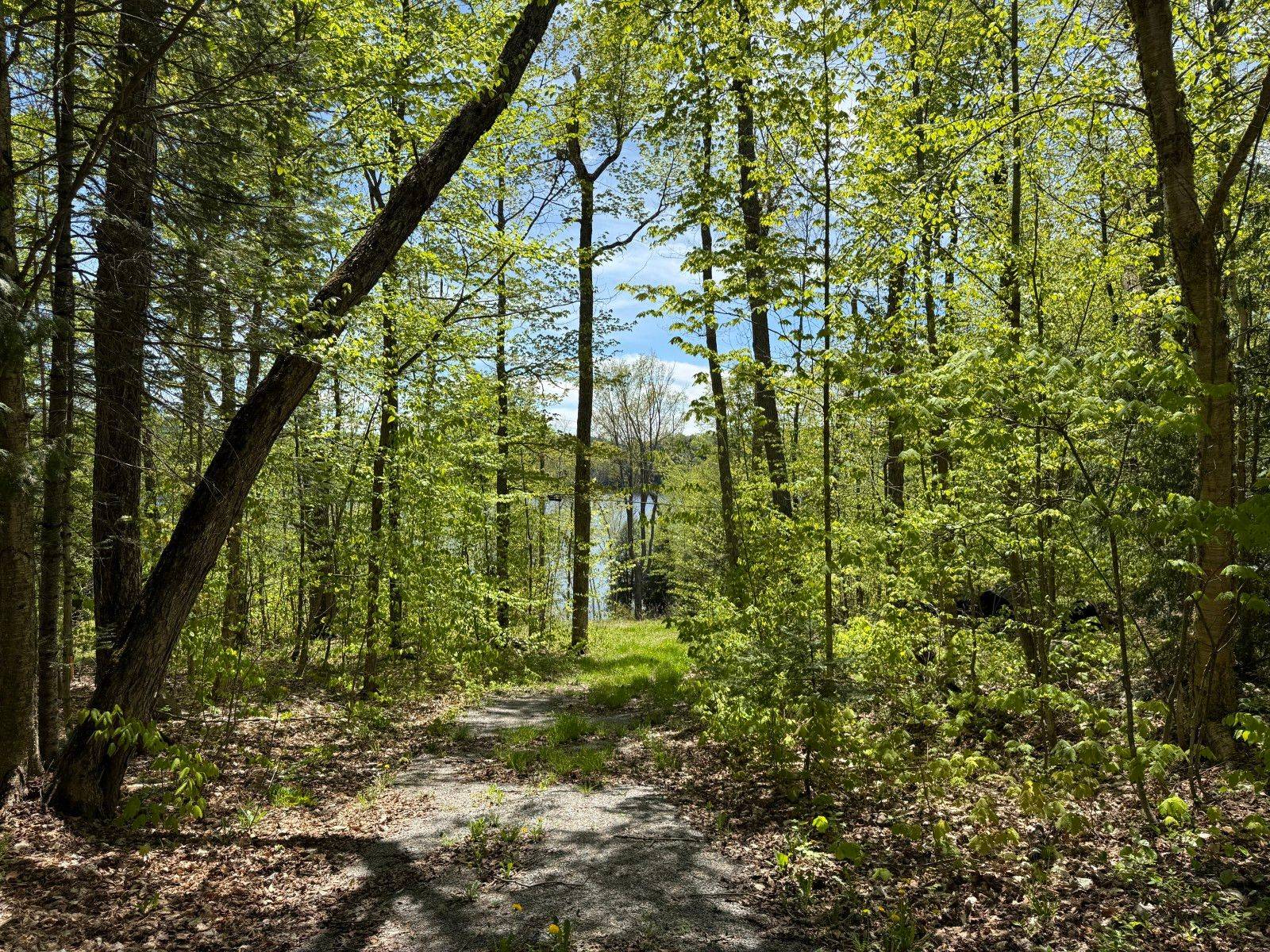 2612 Wilkinson RD, Dysart Et Al, ON K0M 1S0