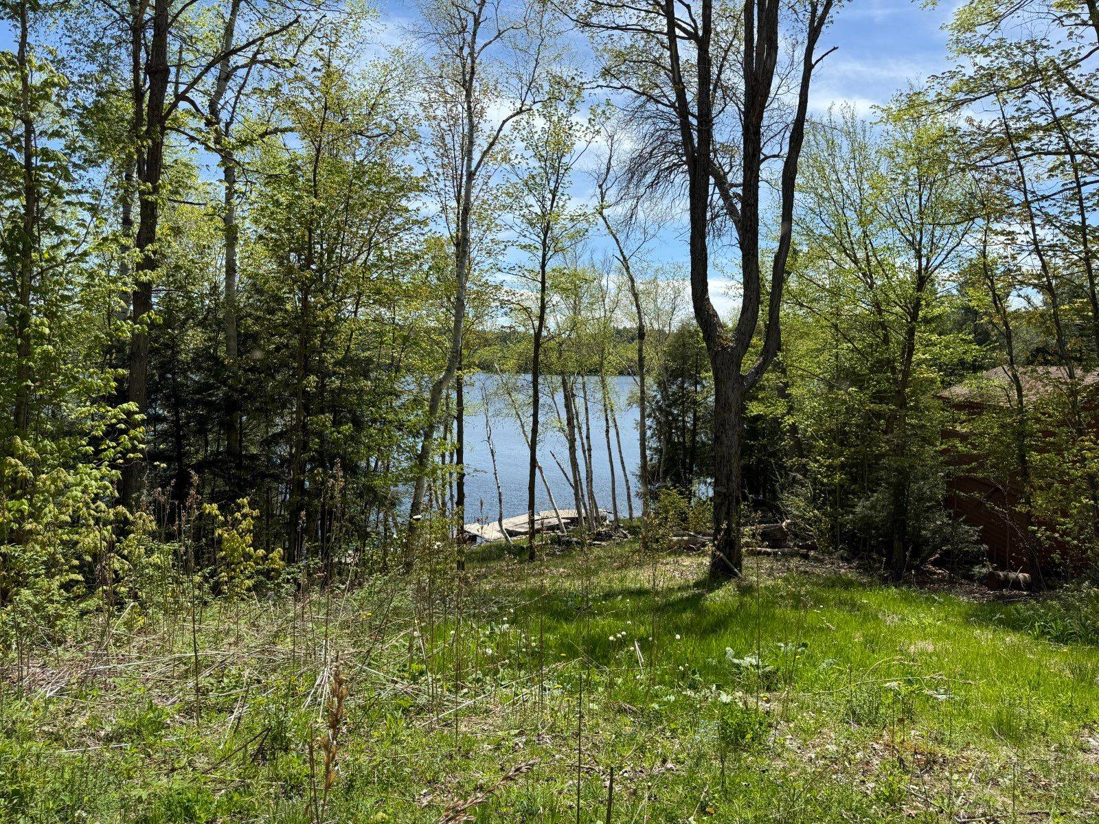 2612 Wilkinson RD, Dysart Et Al, ON K0M 1S0