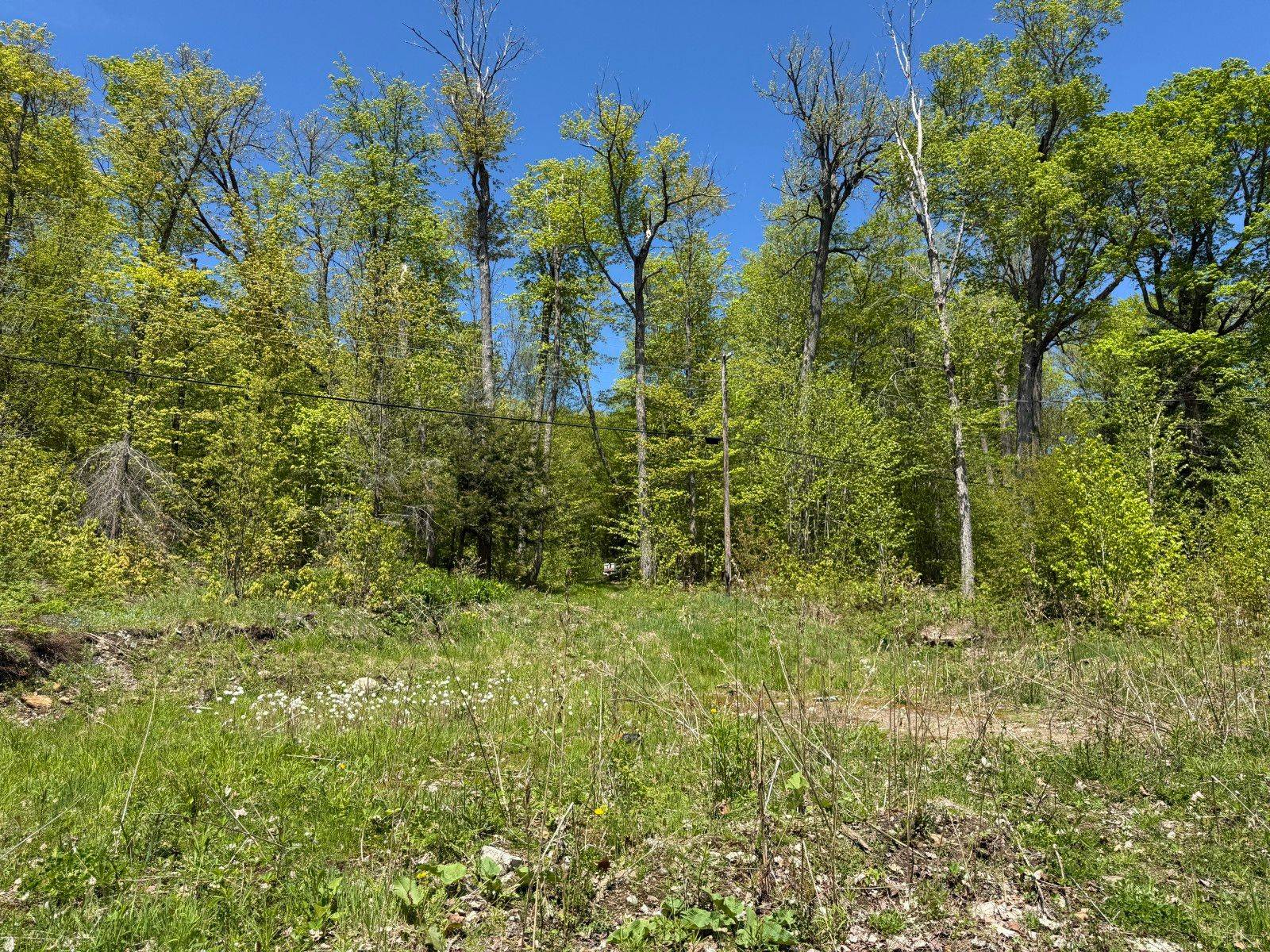 2612 Wilkinson RD, Dysart Et Al, ON K0M 1S0