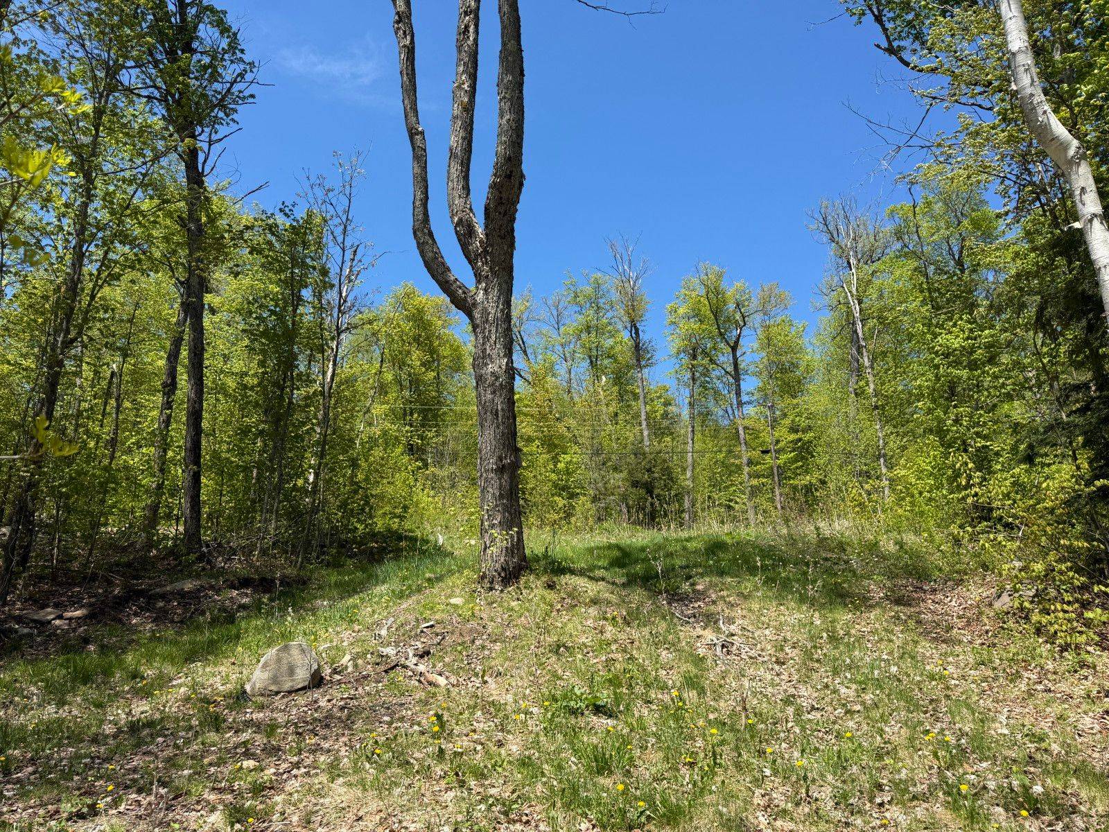 2612 Wilkinson RD, Dysart Et Al, ON K0M 1S0