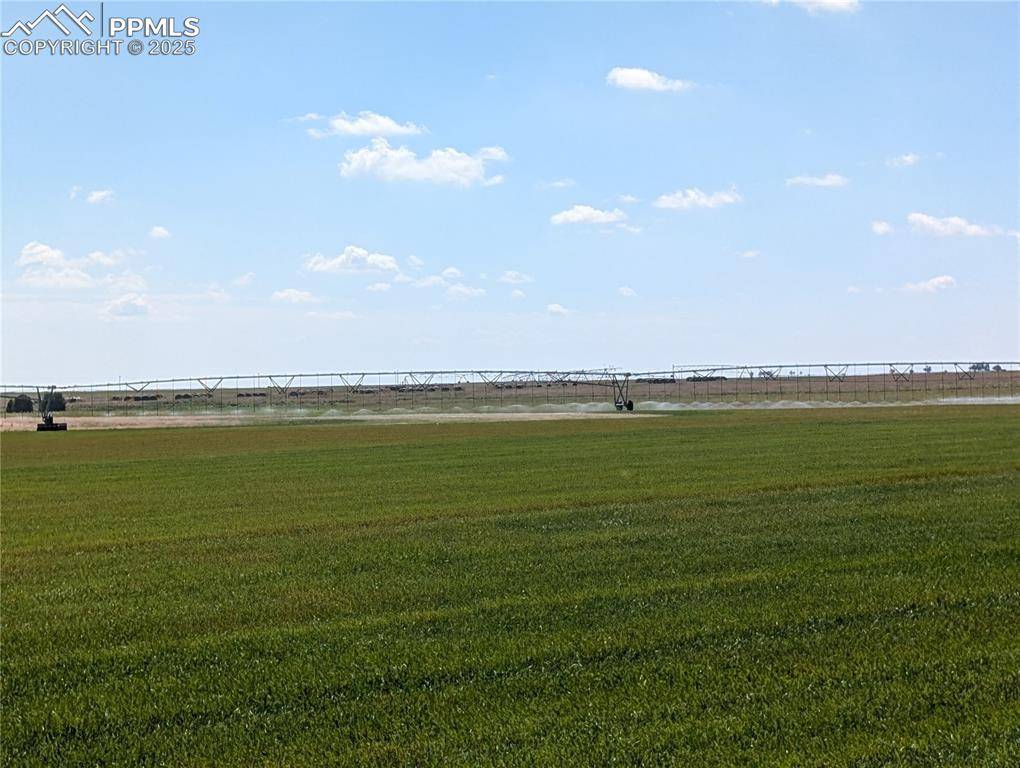 23500 County Road 5, Rush, CO 80833