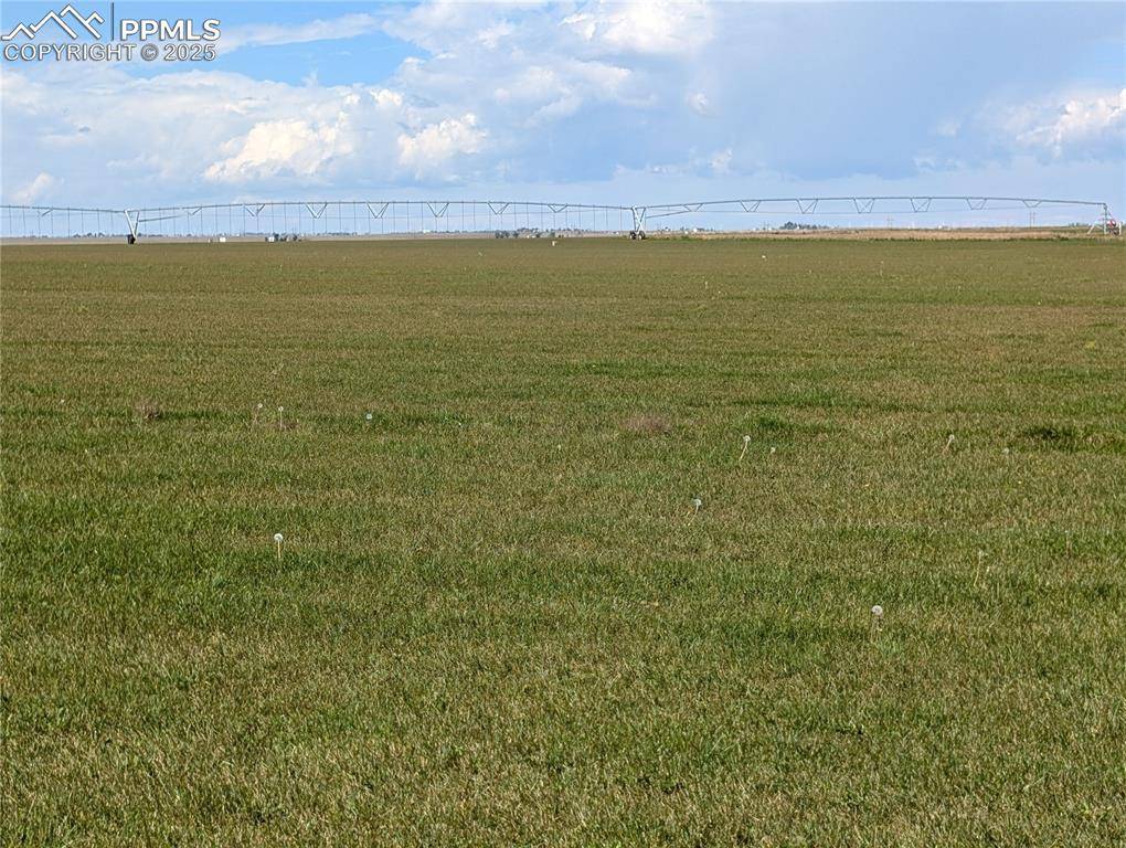 23500 County Road 5, Rush, CO 80833