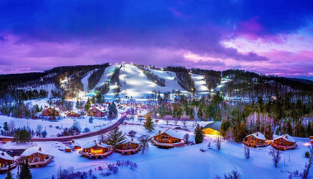 6520 Schuss Mountain LN, Custer Twp, MI 49659