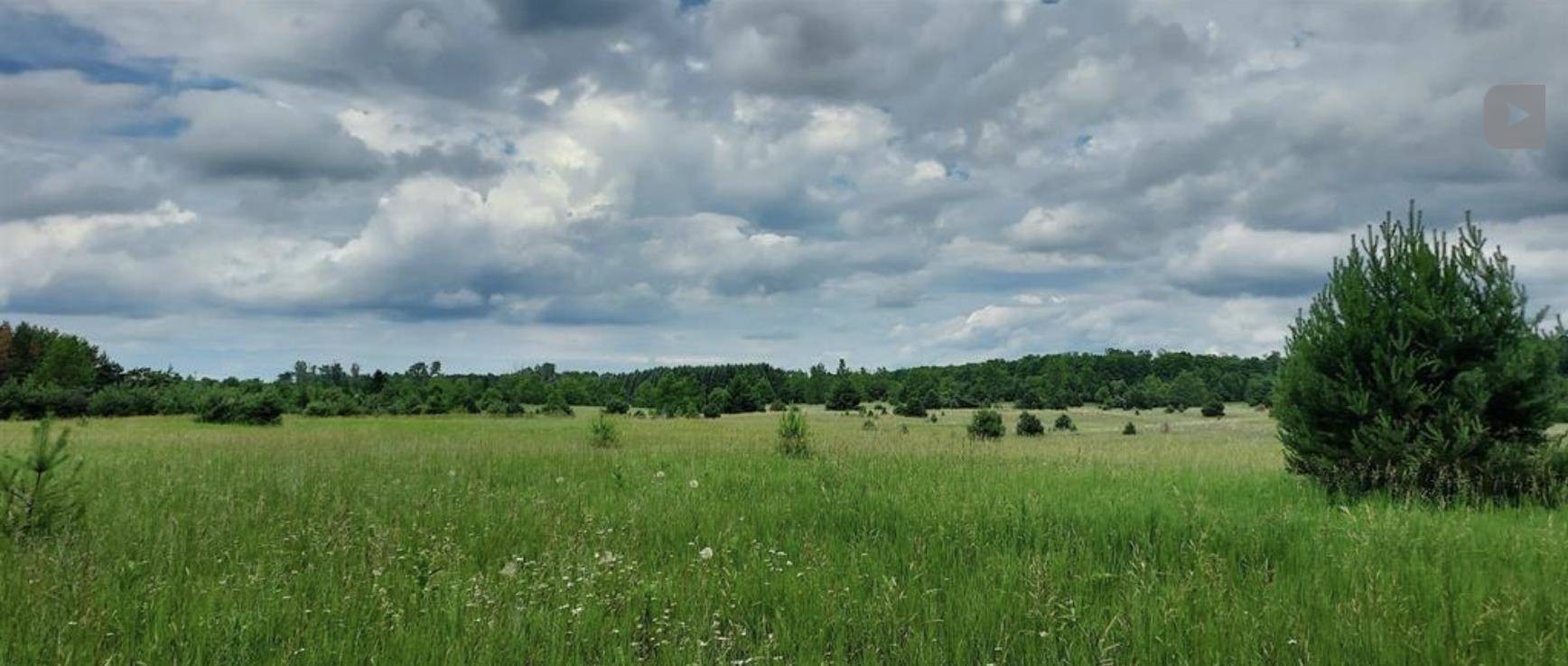 Lot G E Sparling RD, Paradise Twp, MI 49649