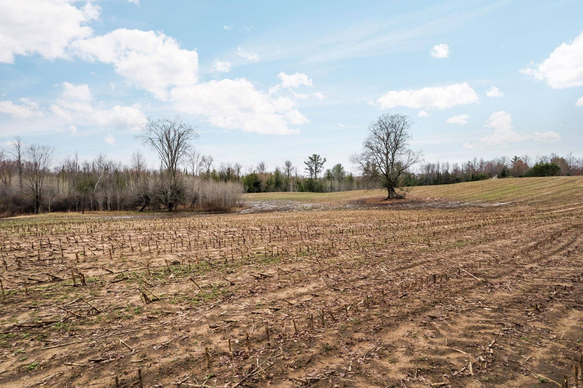 0 Gleaner Hall RD, Paradise Twp, MI 49649