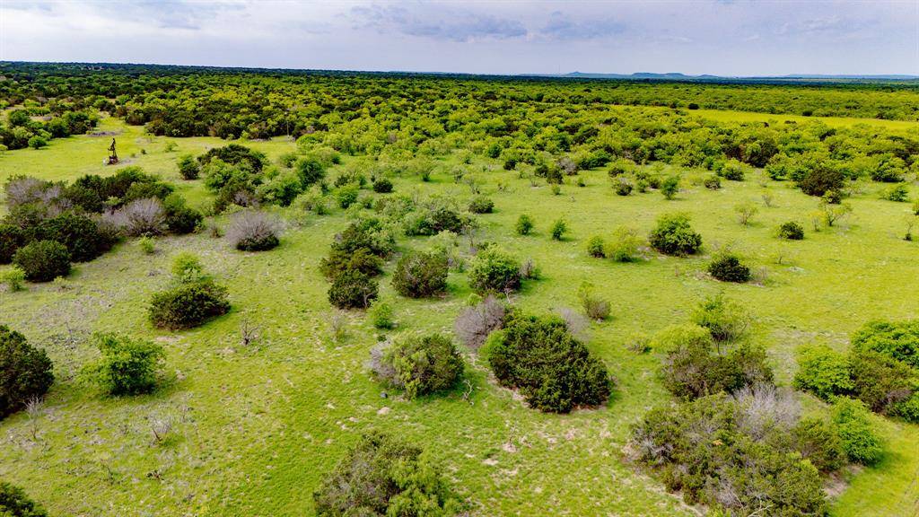 150 Mountain Drive, Graford, TX 76449