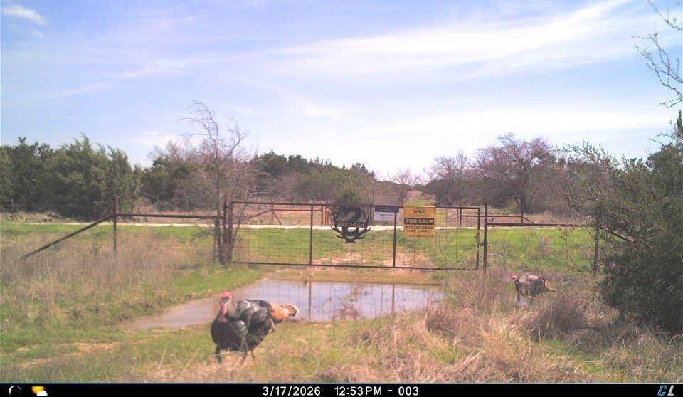 150 Mountain Drive, Graford, TX 76449