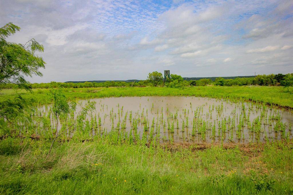 150 Mountain Drive, Graford, TX 76449