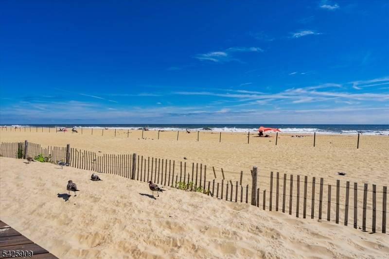 206 16Th Ave #REAR, Belmar Boro, NJ 07719