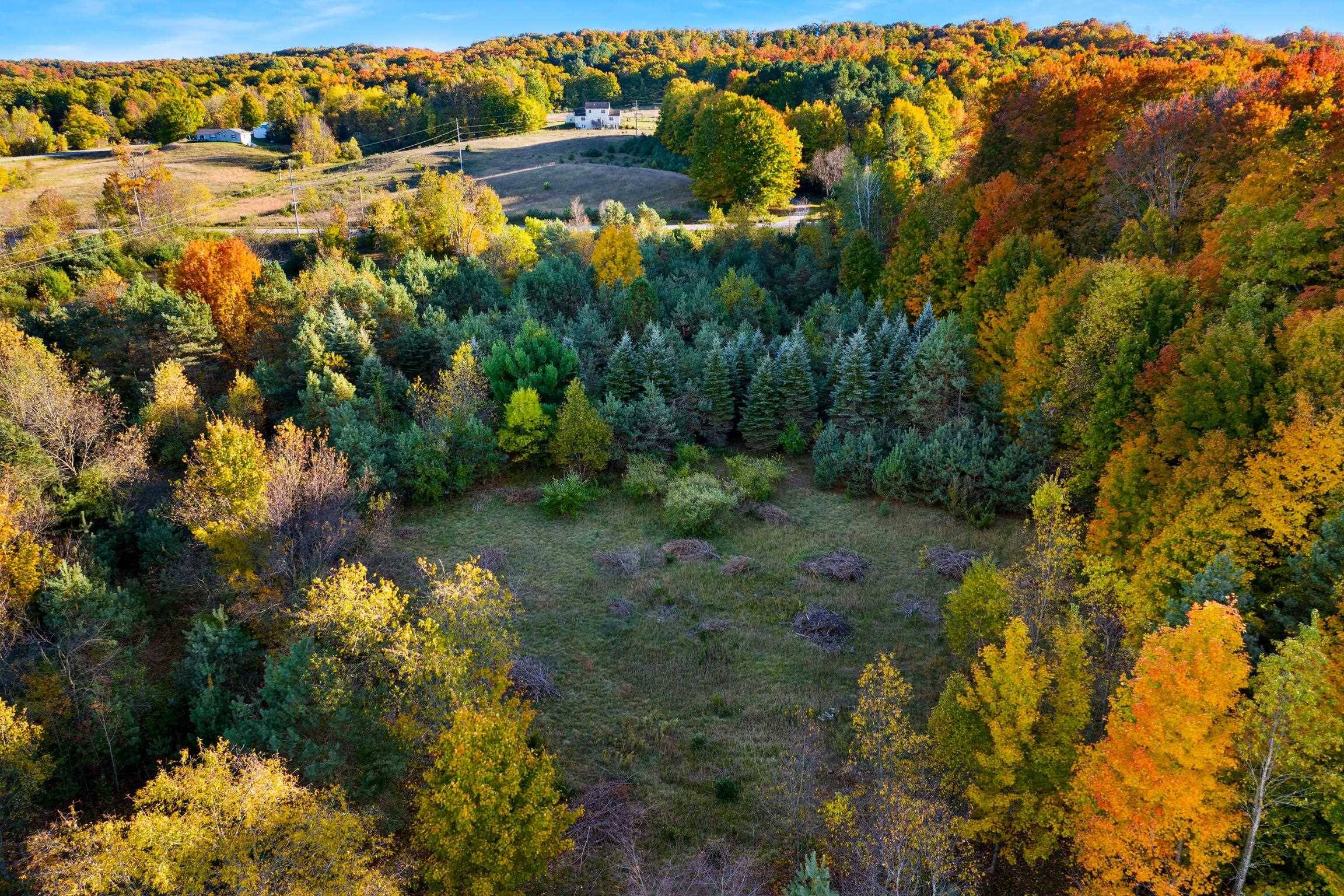 9874 Covey RD, Benzonia Twp, MI 49617