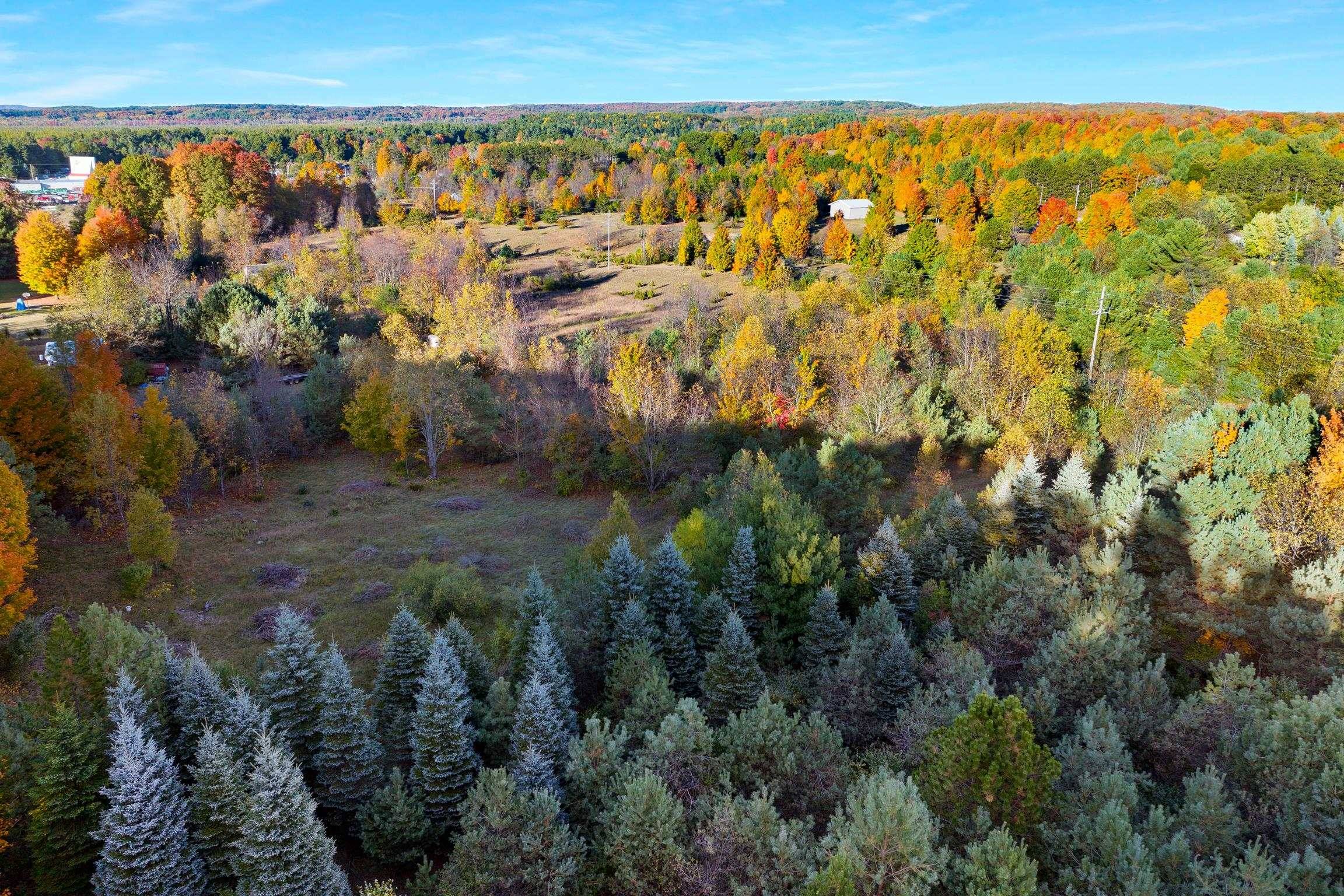 9874 Covey RD, Benzonia Twp, MI 49617