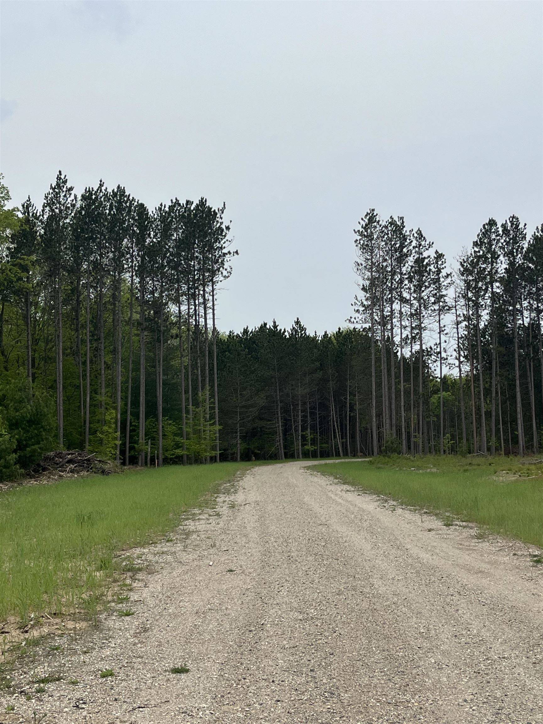 parcel A Theron RD, Blair Twp, MI 49685