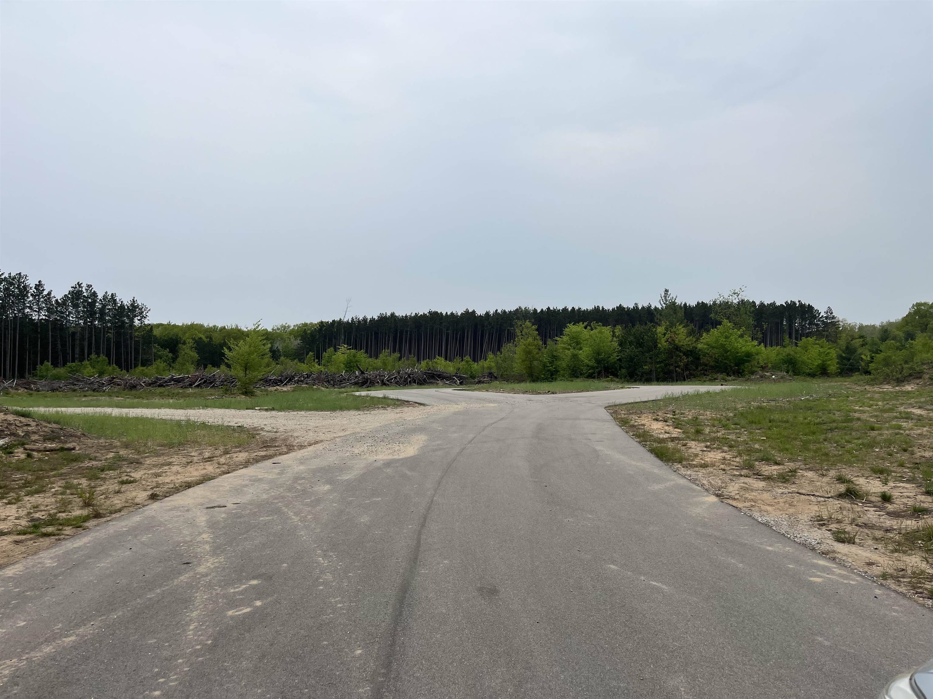 parcel A Theron RD, Blair Twp, MI 49685