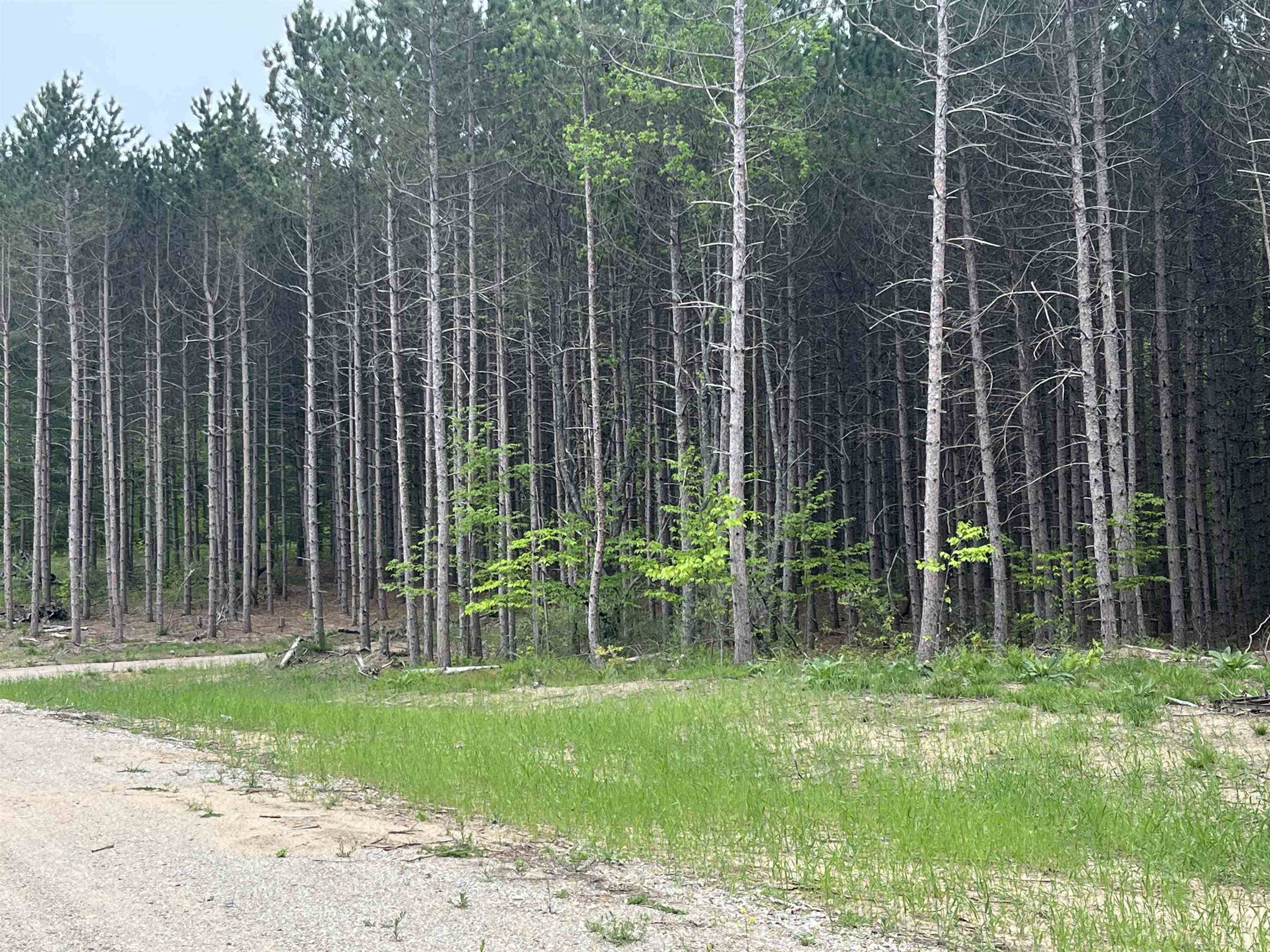 parcel B Theron RD, Blair Twp, MI 49685