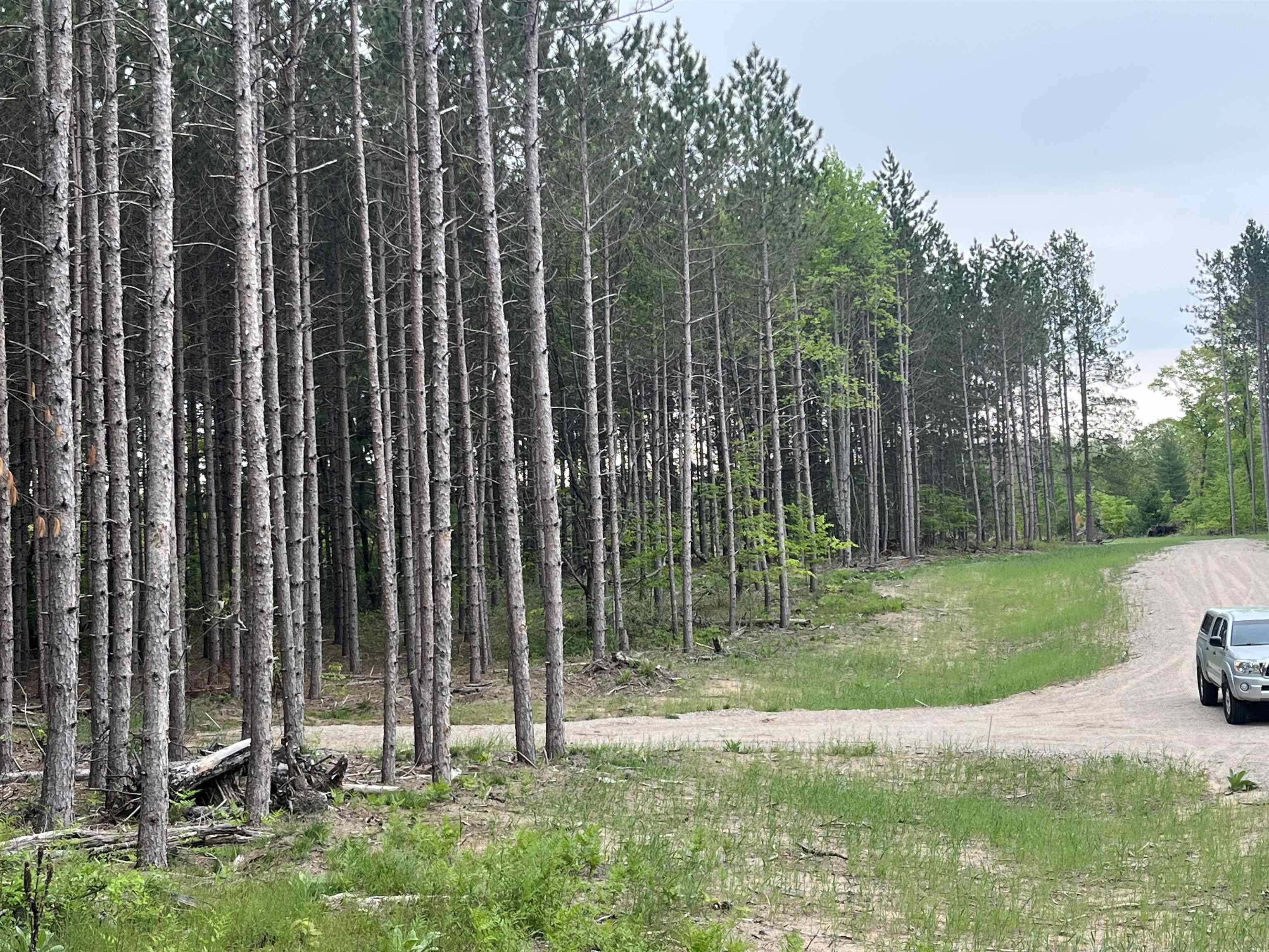 parcel B Theron RD, Blair Twp, MI 49685