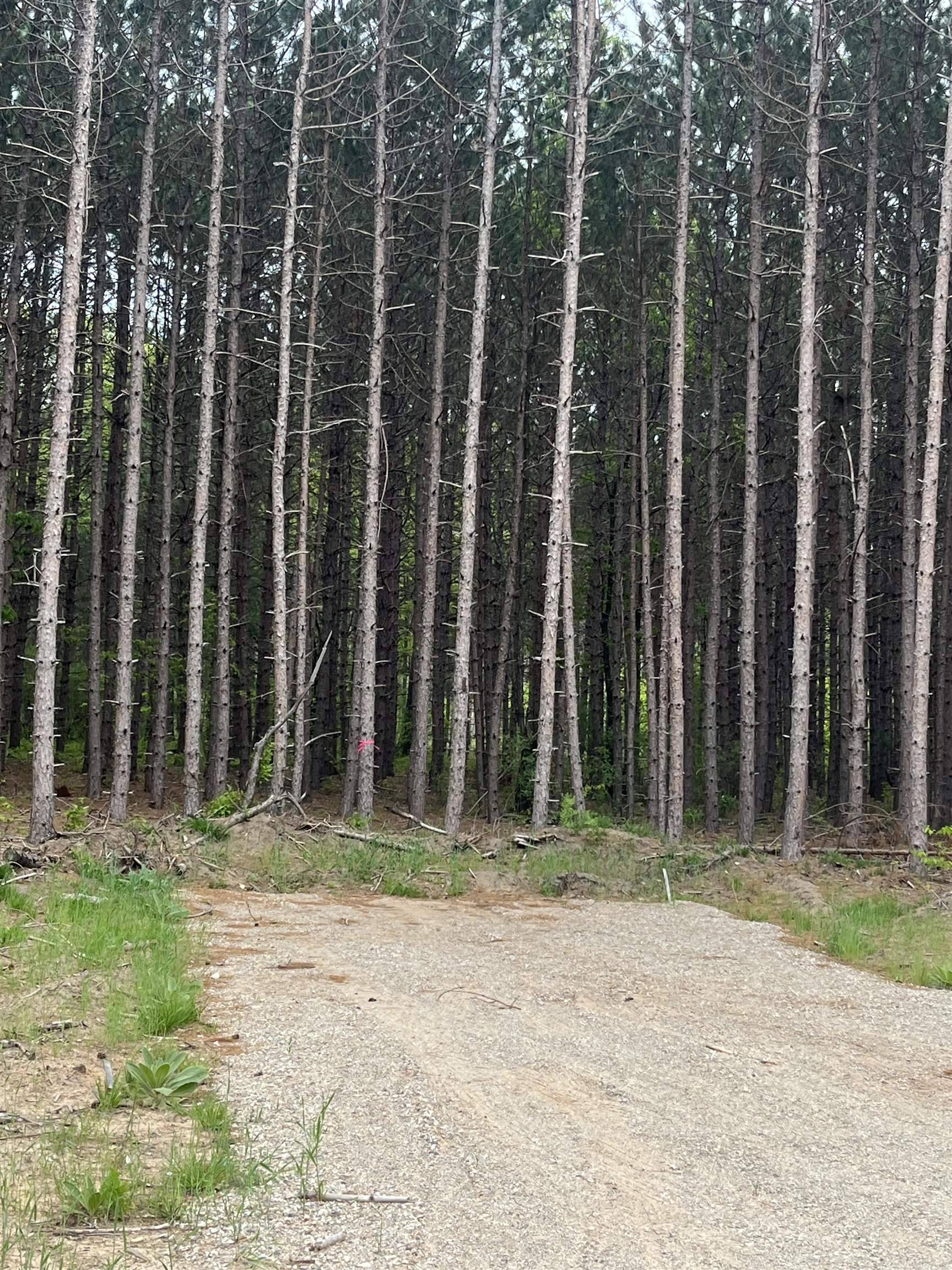 parcel B Theron RD, Blair Twp, MI 49685