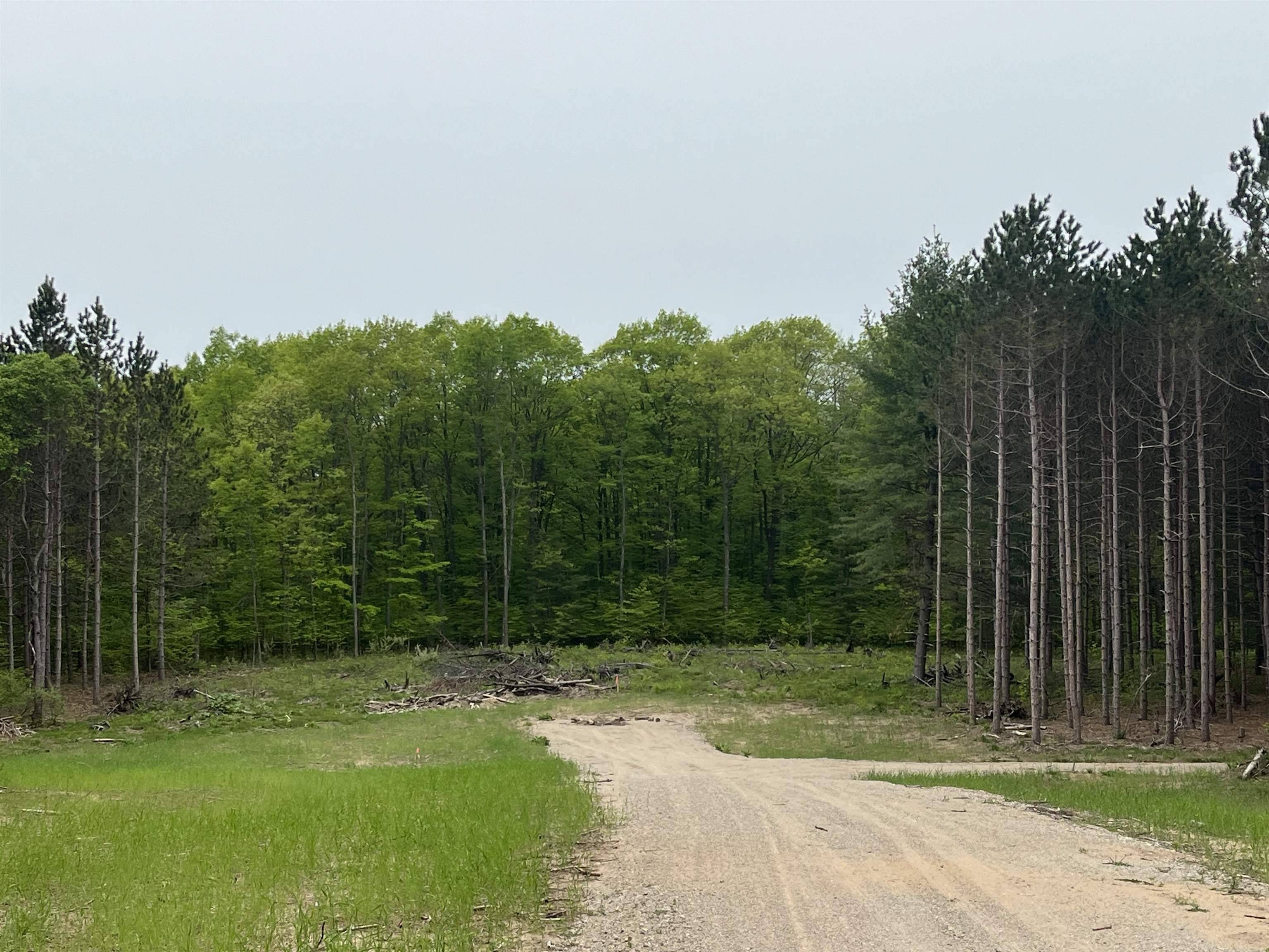 parcel C Theron RD, Blair Twp, MI 49685