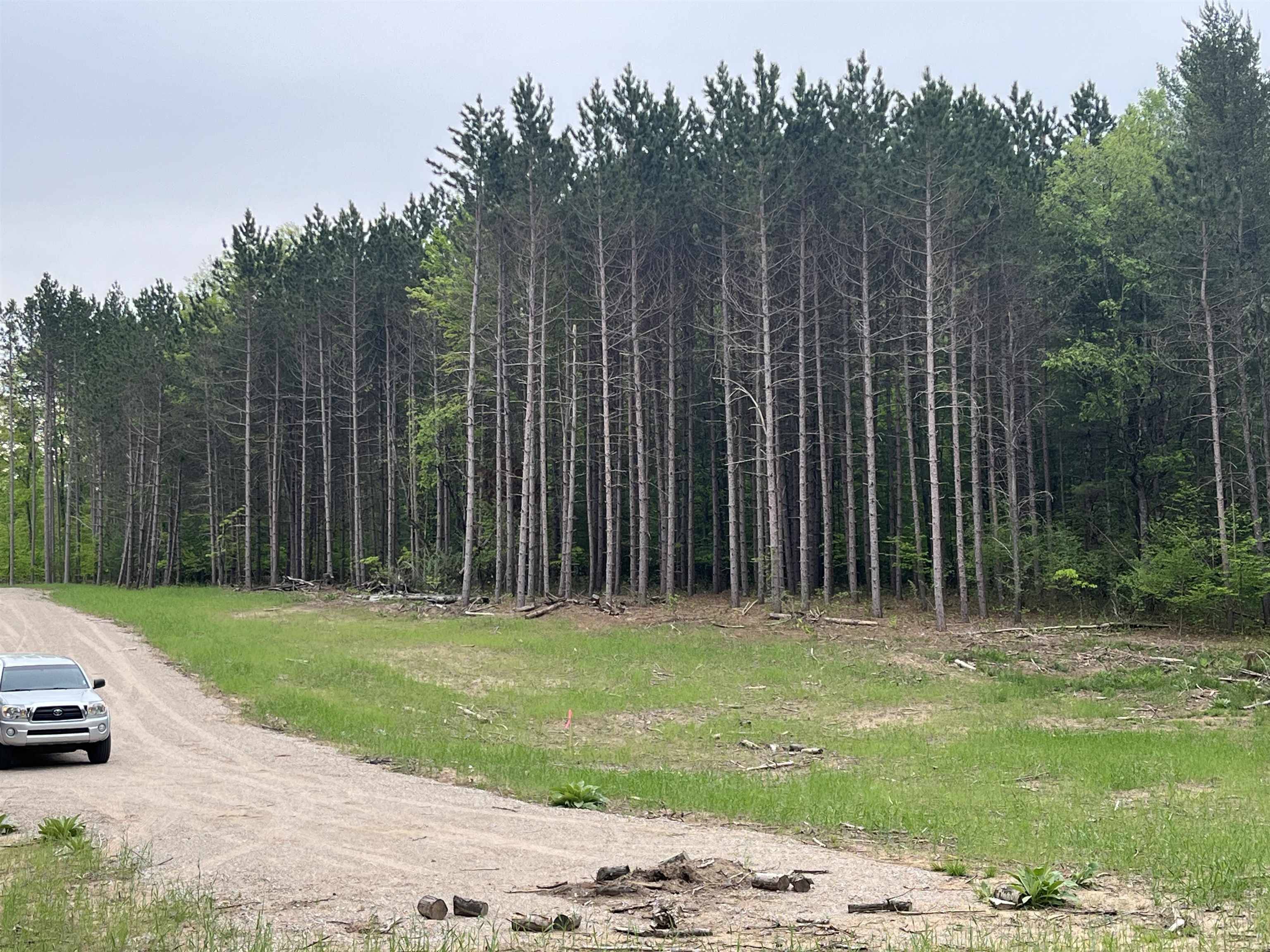 parcel C Theron RD, Blair Twp, MI 49685