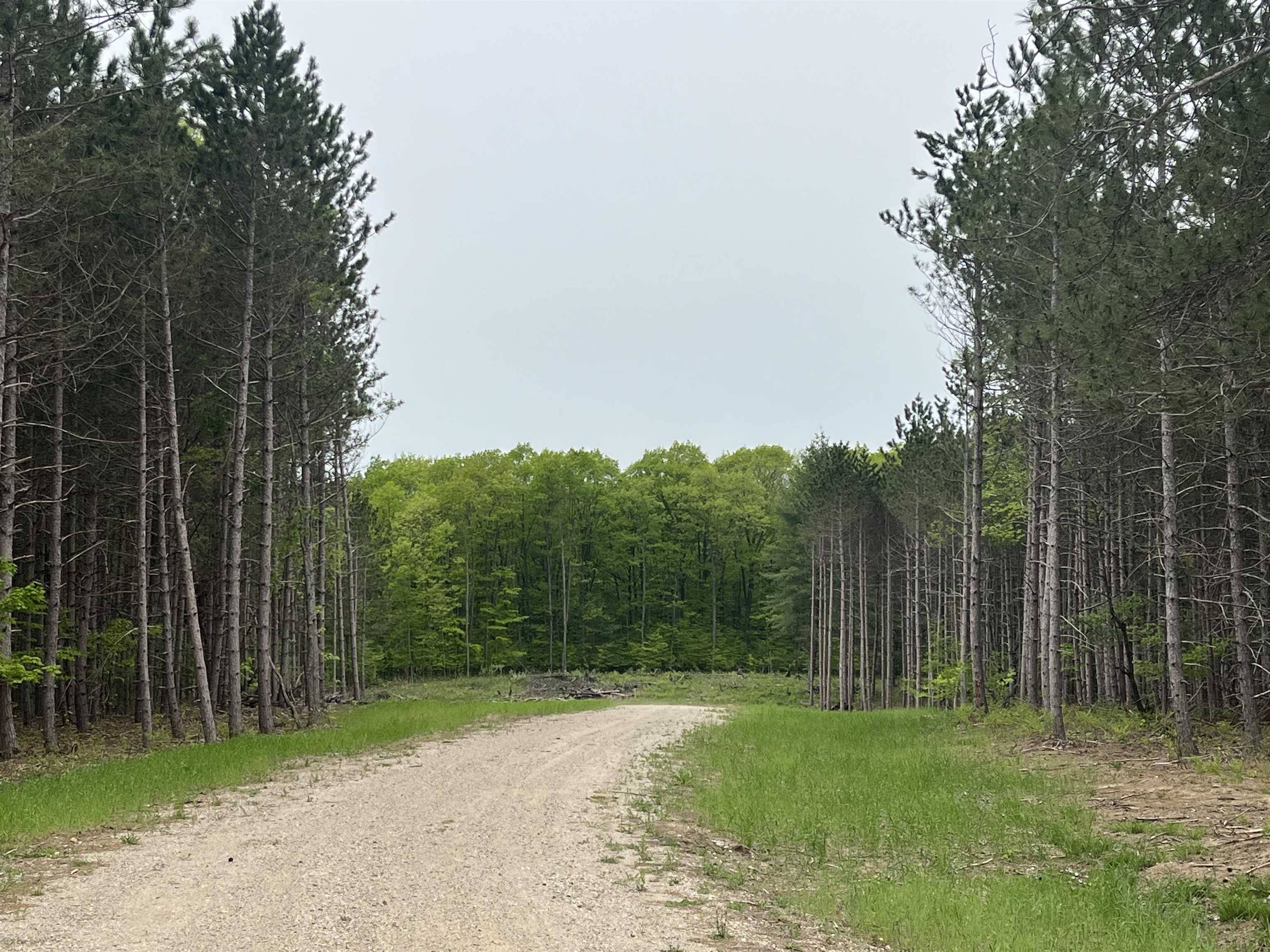 parcel C Theron RD, Blair Twp, MI 49685