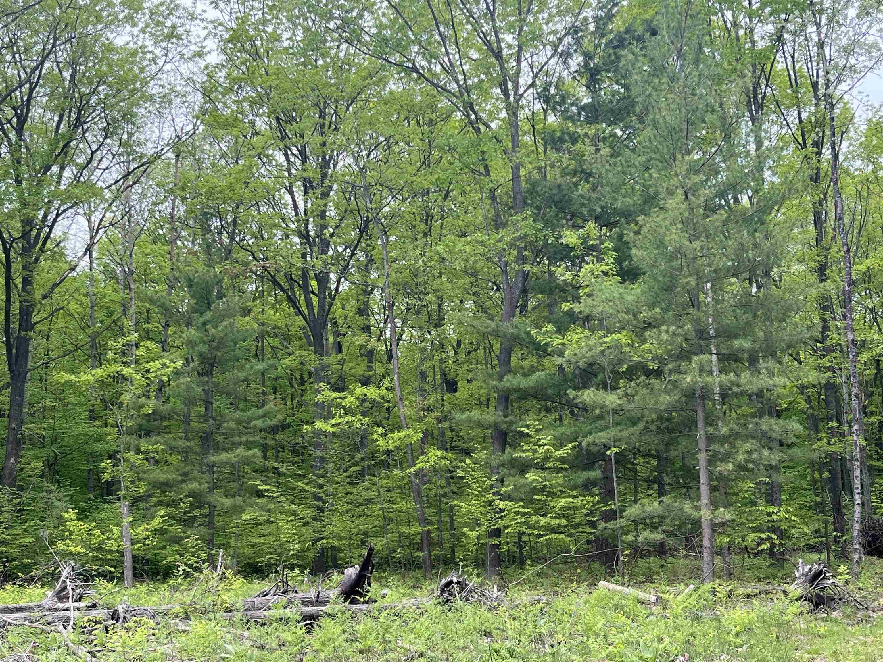 parcel D Theron RD, Blair Twp, MI 49685