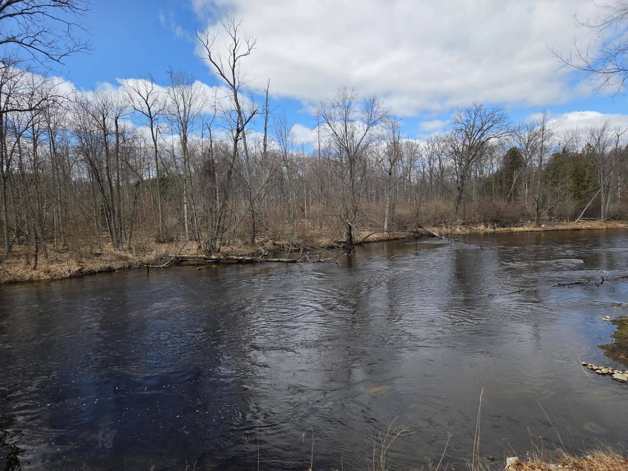 5172 W Pickard RD, Deerfield Twp, MI 48858